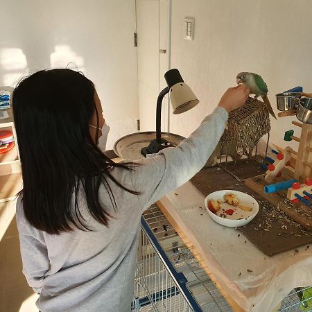 색채의숲펜션 홍천 외부 사진