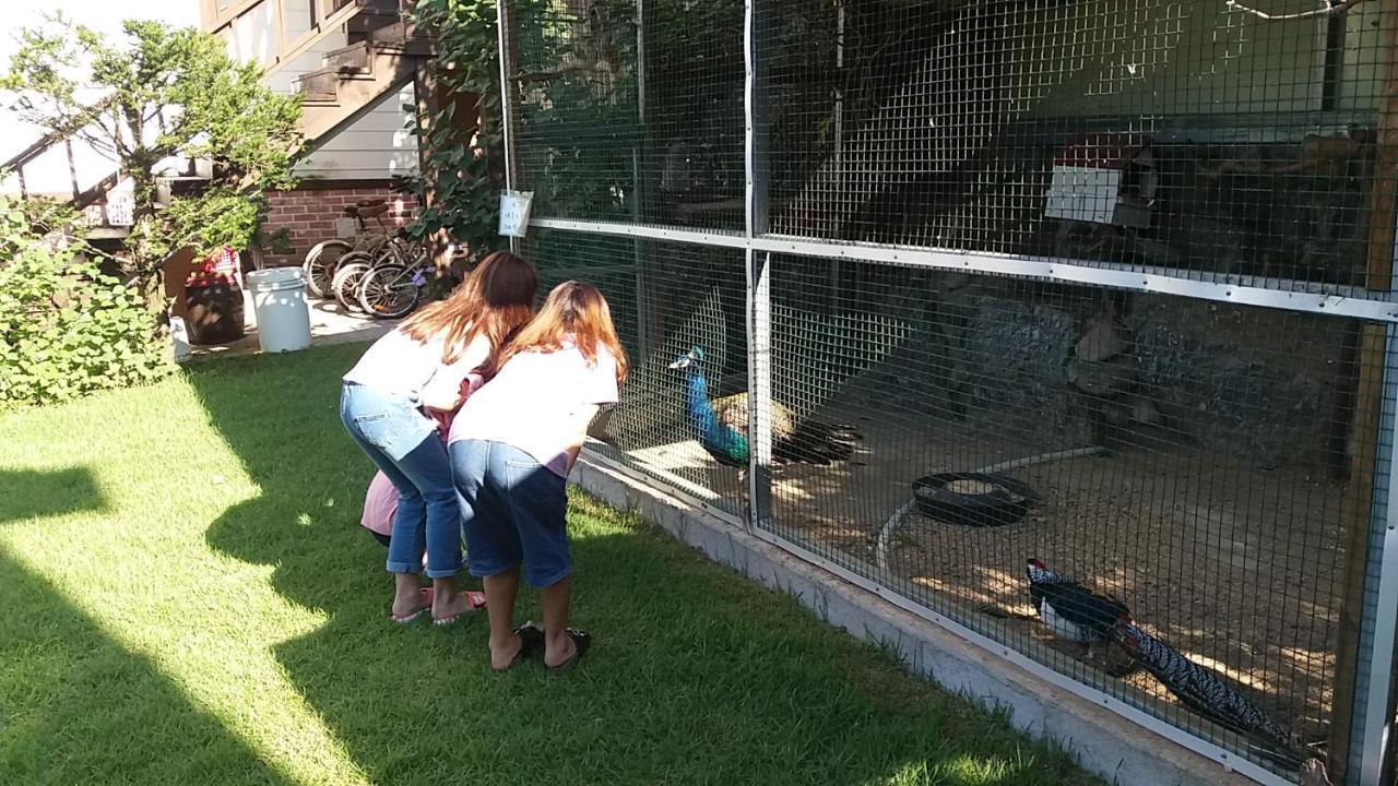 색채의숲펜션 홍천 외부 사진