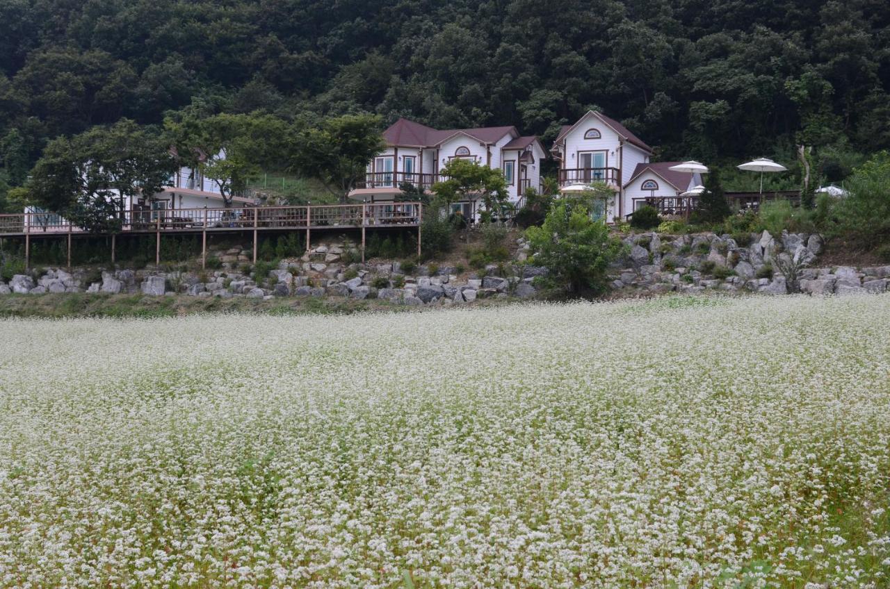 색채의숲펜션 홍천 외부 사진