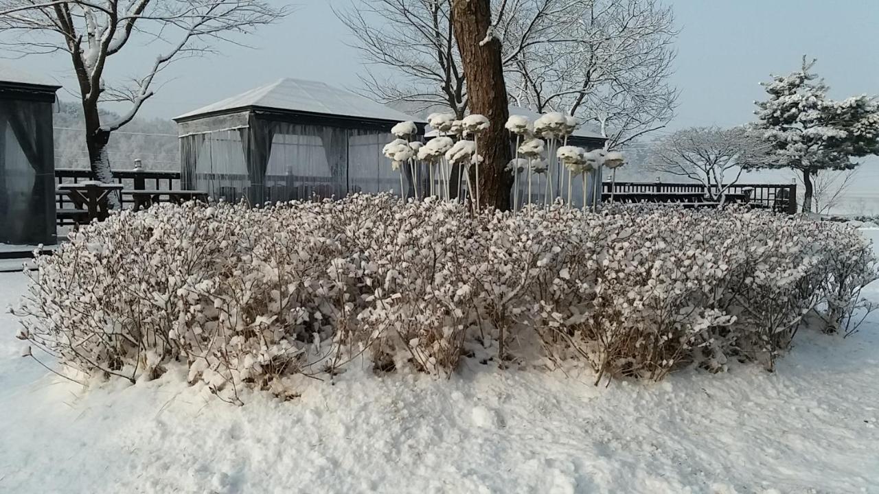 색채의숲펜션 홍천 외부 사진