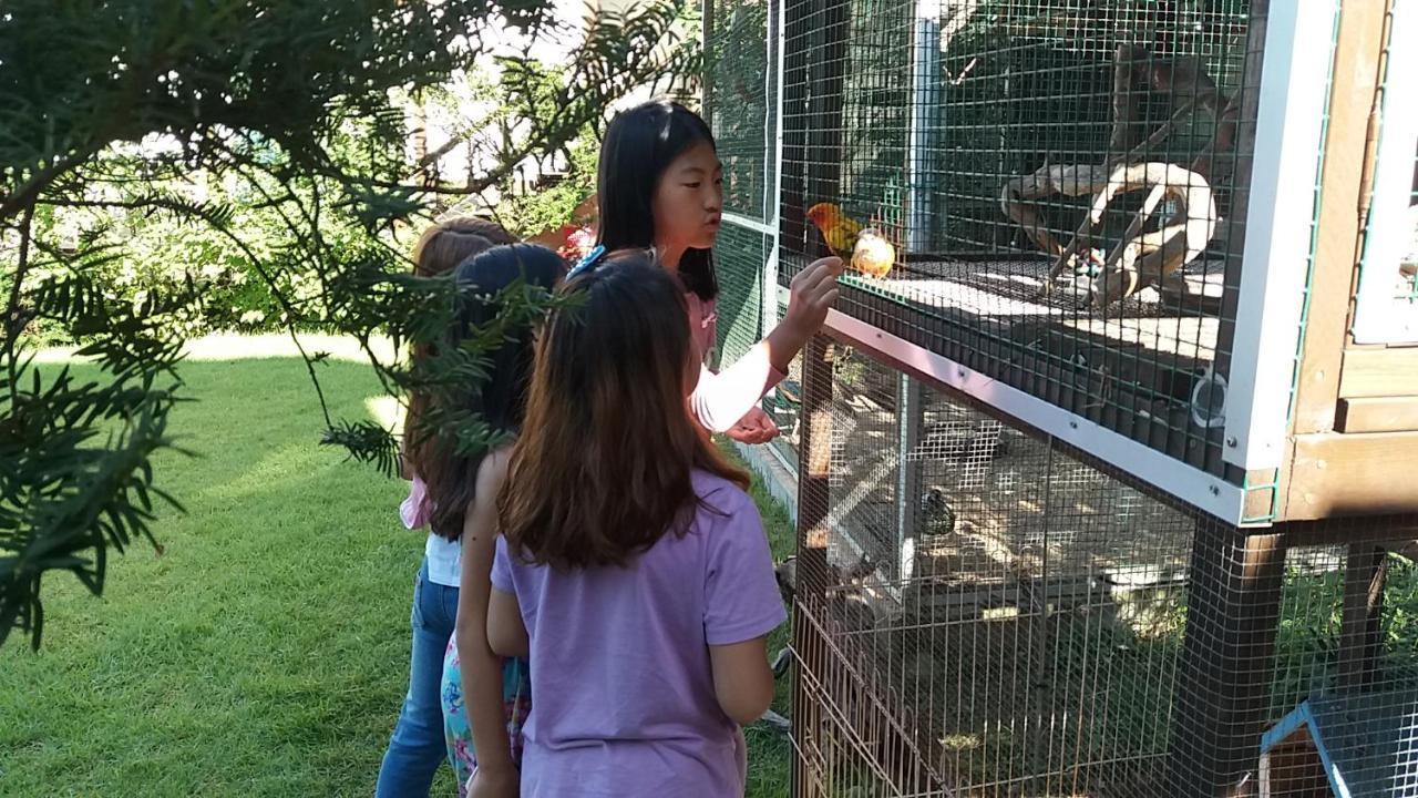 색채의숲펜션 홍천 외부 사진